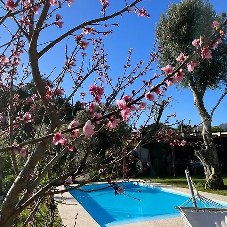 De Campos - Geres Appartement Vieira do Minho