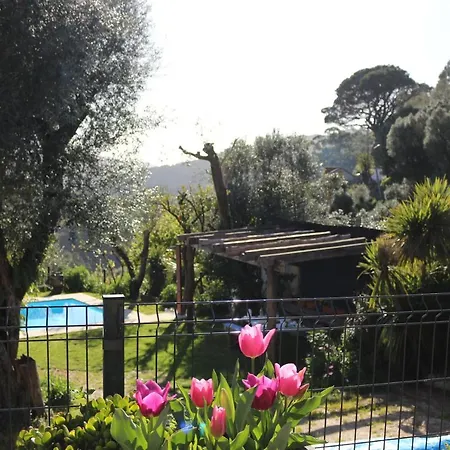 De Campos - Geres Appartement