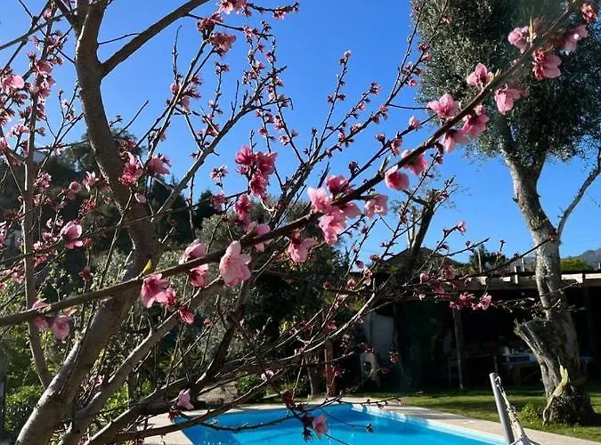 De Campos - Geres Apartment Vieira do Minho